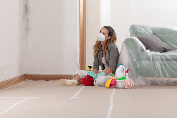 Reliable Mold Remediation contractor in Jessup, MD by 24 Hour Mold Removal